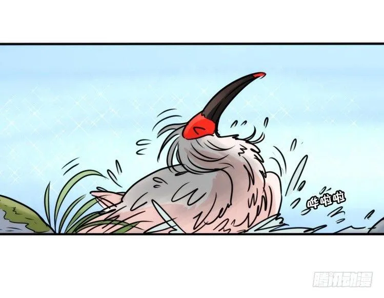 金华至江西望仙谷旅游攻略漫画,使命篇23：重振绯羽⑤5图