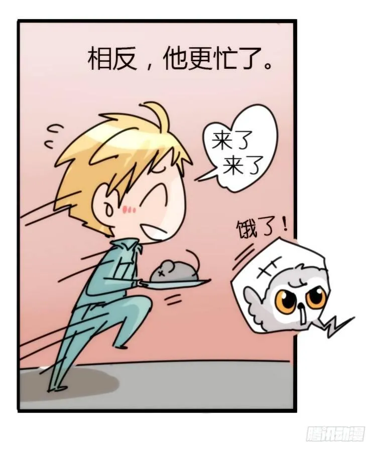 金华至江西望仙谷旅游攻略漫画,飞吧小少爷：网红风波·上3图