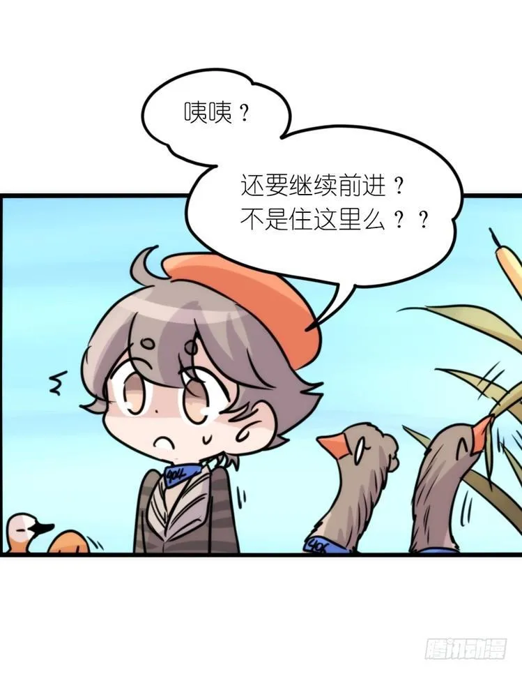 金华至江西望仙谷旅游攻略漫画,使命篇05：鸟眼看人奇3图