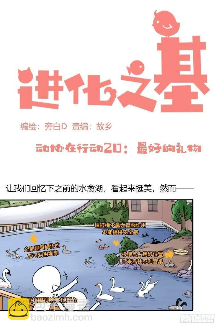 金华至江西望仙谷旅游攻略漫画,动协在行动20：最好的礼物2图