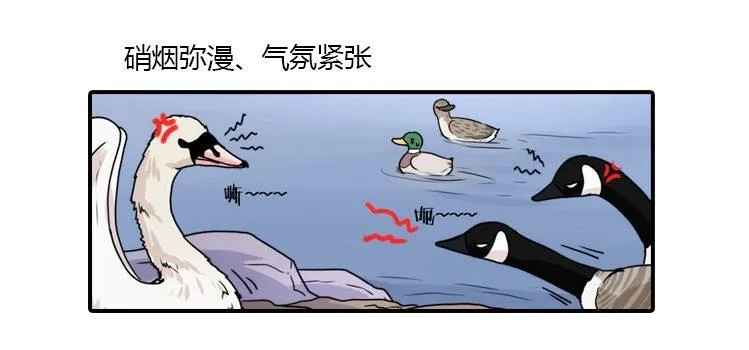 金华至江西望仙谷旅游攻略漫画,动协在行动20：最好的礼物3图