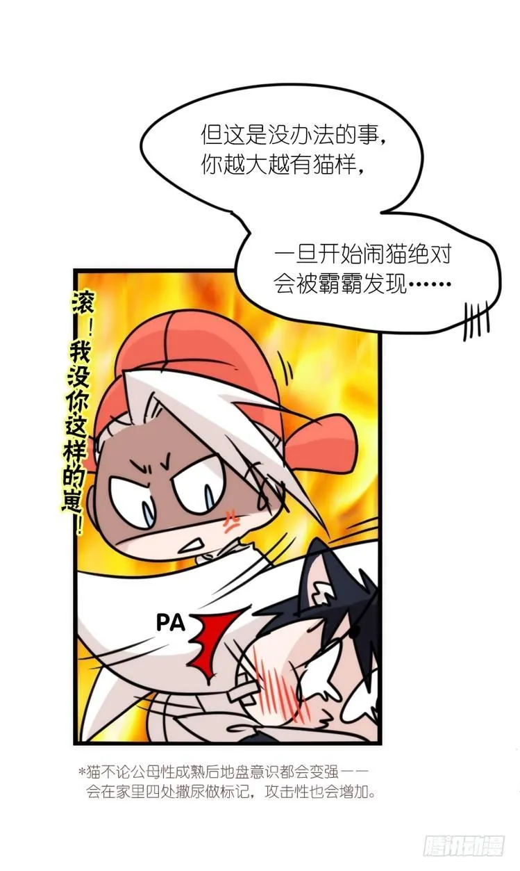 金华至江西望仙谷旅游攻略漫画,动协在行动23：搞个大新闻！4图