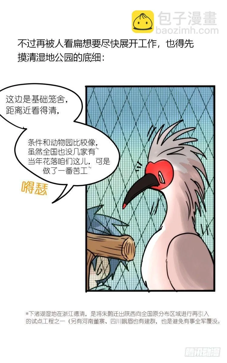 金华至江西望仙谷旅游攻略漫画,使命篇19：重振绯羽①3图