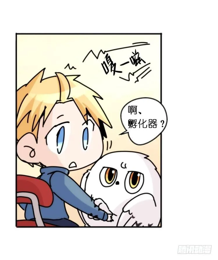 金华至江西望仙谷旅游攻略漫画,飞吧小少爷：生生不息5图