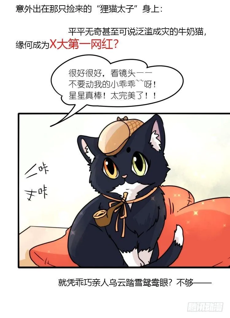 金华至江西望仙谷旅游攻略漫画,动协在行动02：鹅也有猫了！5图