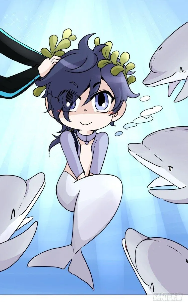 金华至江西望仙谷旅游攻略漫画,大白鲨III-一战成名1图