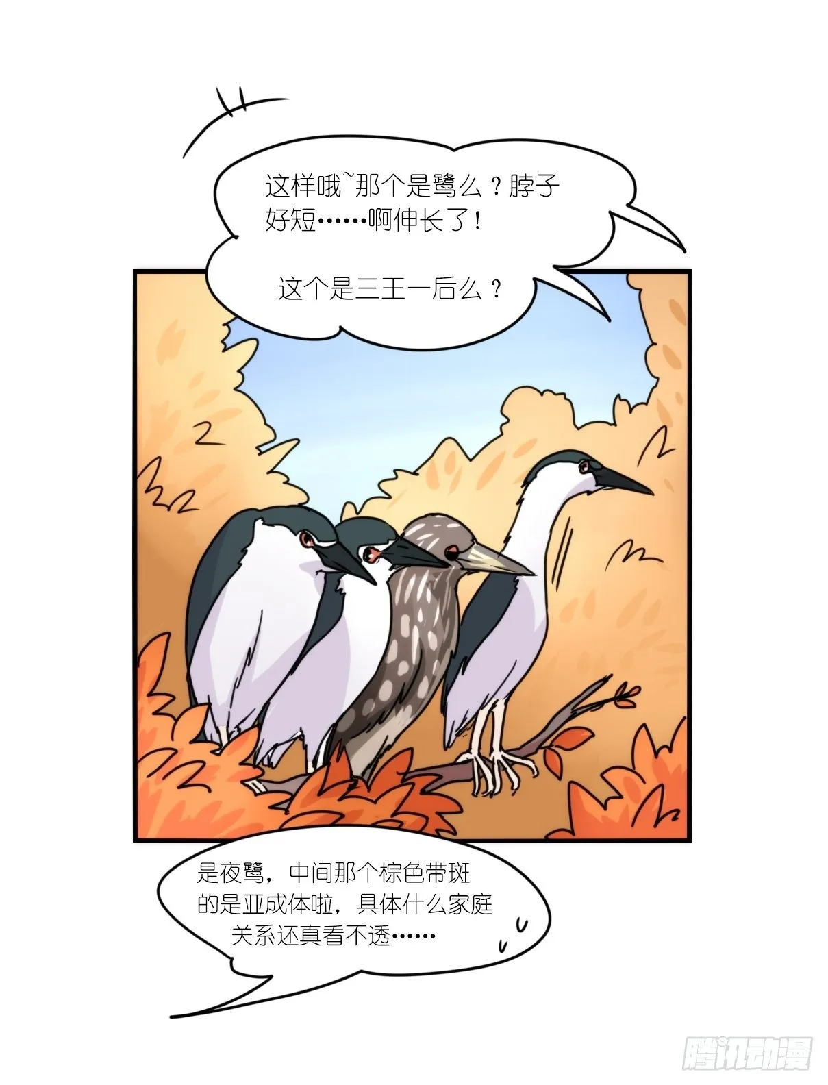 金华至江西望仙谷旅游攻略漫画,事业篇II：上吧，二呆！024图