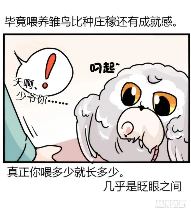 金华至江西望仙谷旅游攻略漫画,飞吧小少爷：网红风波·上5图