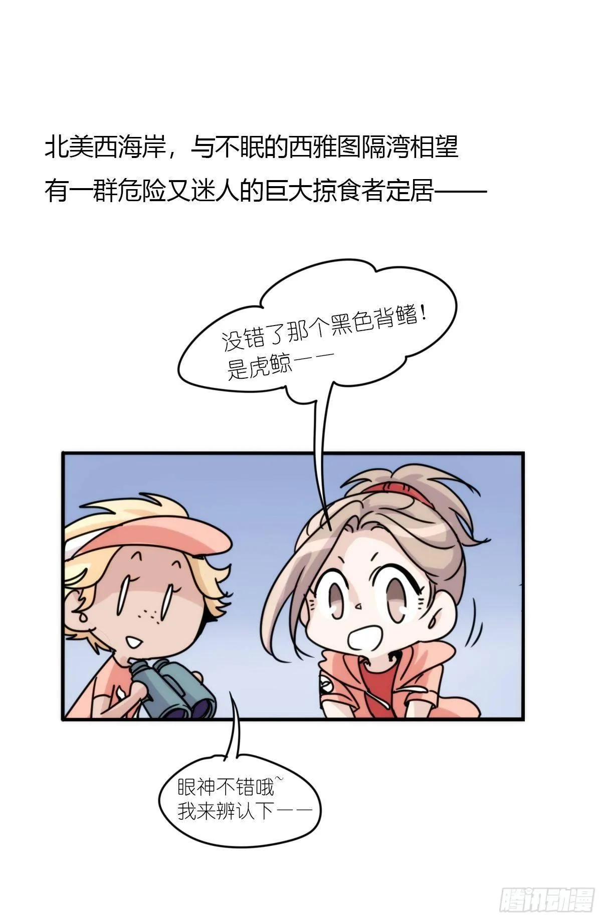 金华至江西望仙谷旅游攻略漫画,虎鲸篇：这些杀手不太冷013图