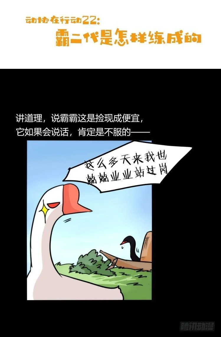 金华至江西望仙谷旅游攻略漫画,动协在行动22：霸二代是怎样炼成2图