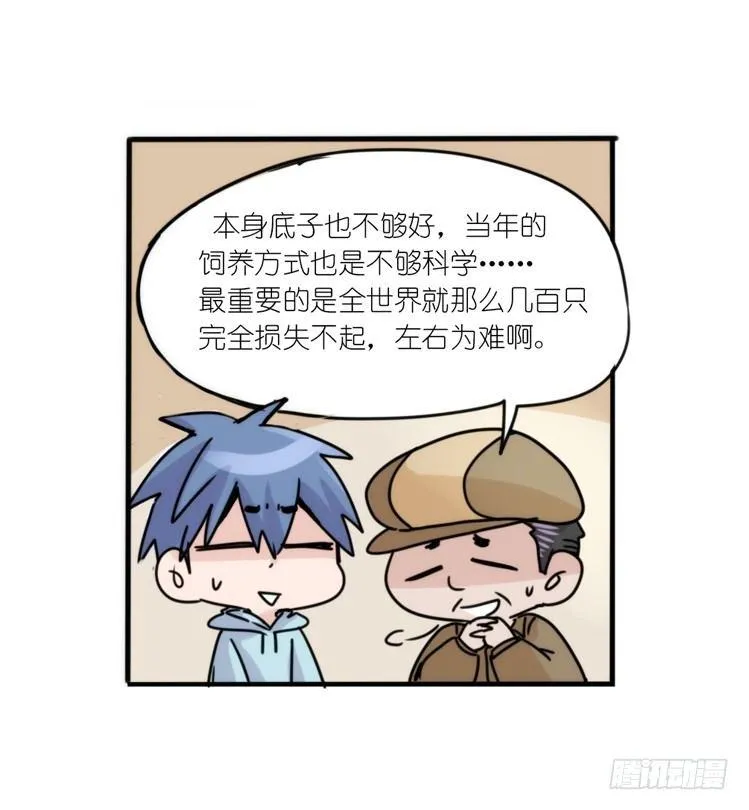 金华至江西望仙谷旅游攻略漫画,使命篇29：最优解4图