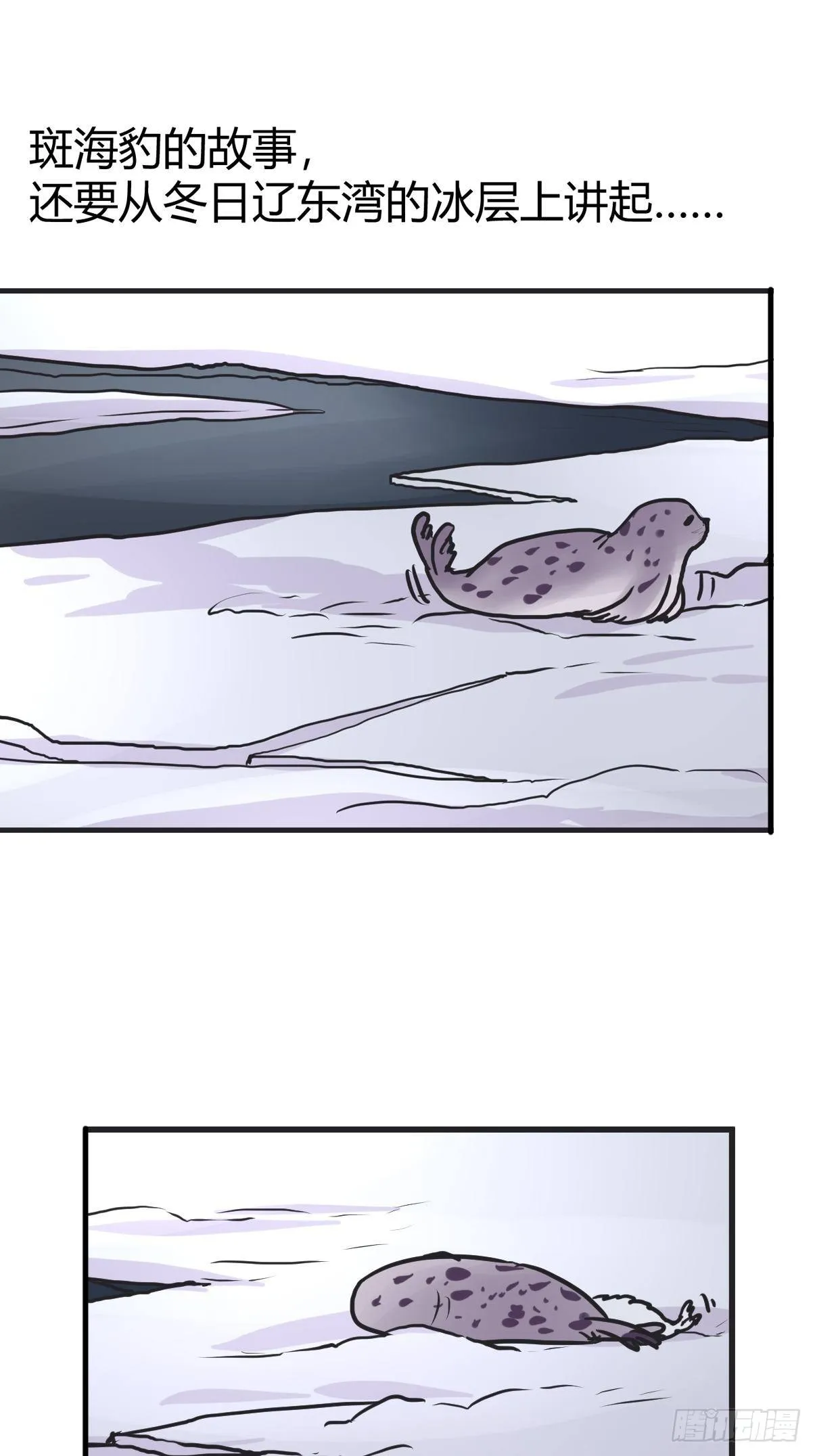 金华至江西望仙谷旅游攻略漫画,四海篇08：海豹豹的奇幻漂流12图