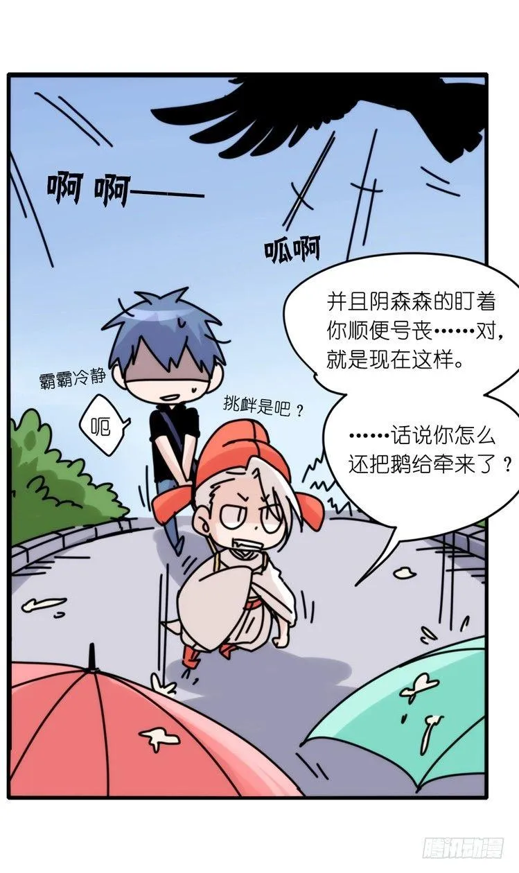 金华至江西望仙谷旅游攻略漫画,家有鹅霸：霸系鸟类巅峰对决4图