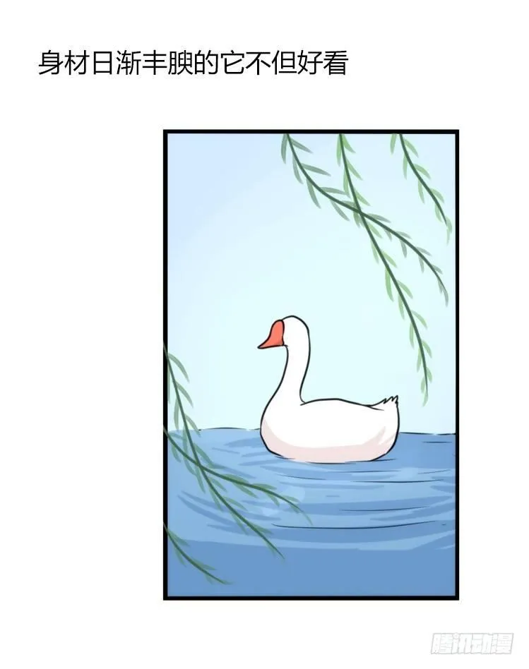 金华至江西望仙谷旅游攻略漫画,家有鹅霸：最难走的套路3图