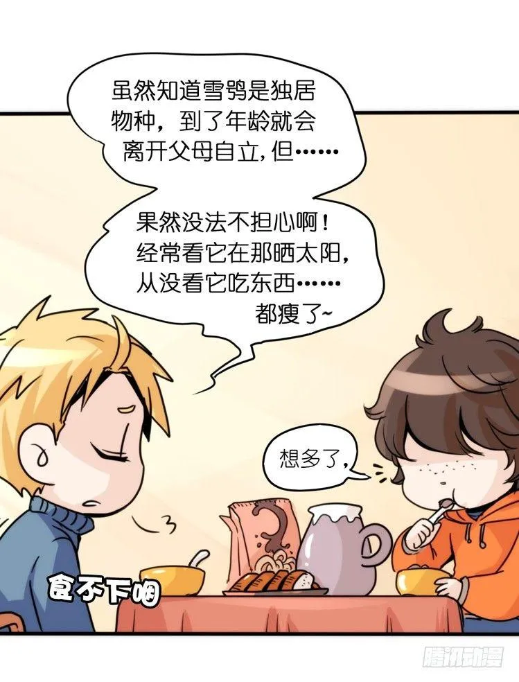 金华至江西望仙谷旅游攻略漫画,飞吧小少爷：超凶的！5图