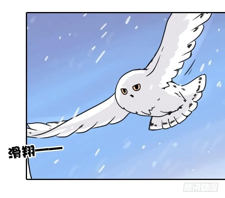 金华至江西望仙谷旅游攻略漫画,飞吧小少爷：梦想照进现实3图