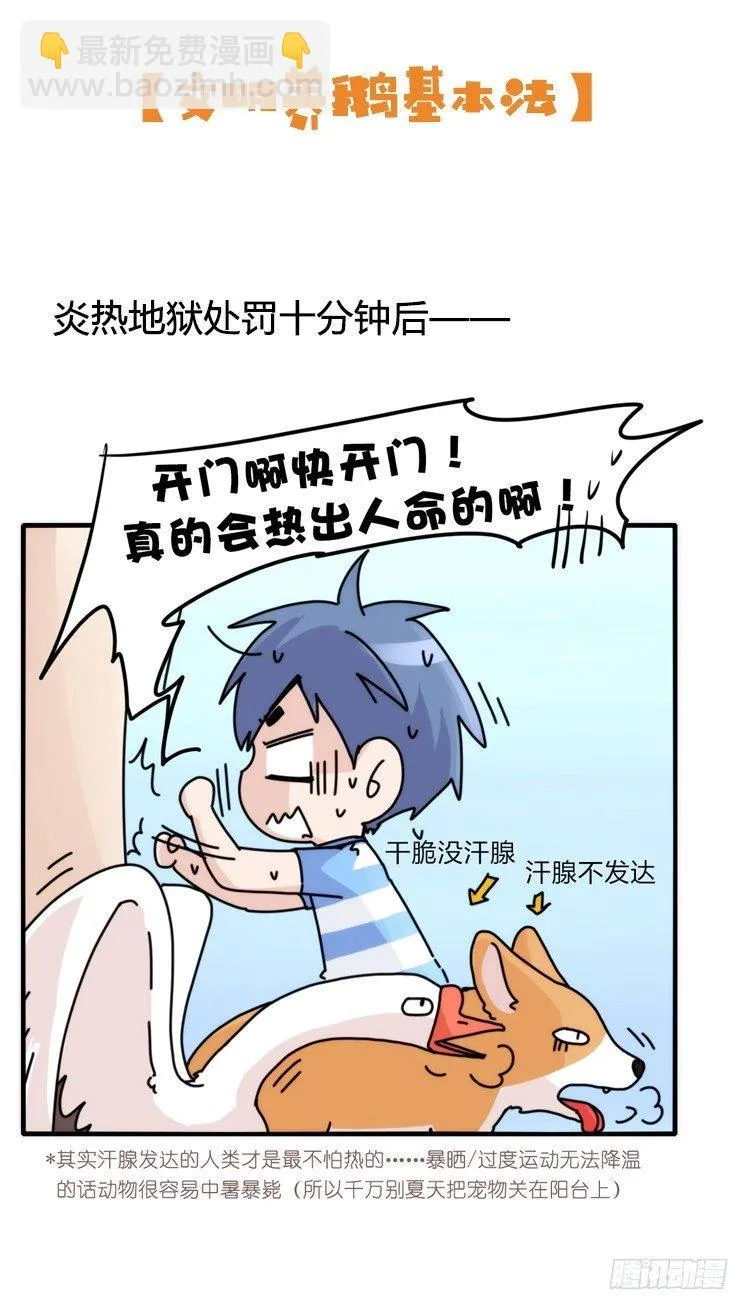 金华至江西望仙谷旅游攻略漫画,家有鹅霸：文明养鹅基本法2图