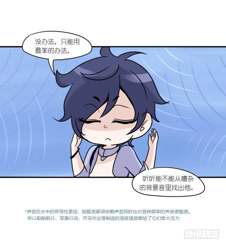 金华至江西望仙谷旅游攻略漫画,海洋精灵：大白鲨I-大片固定开头5图