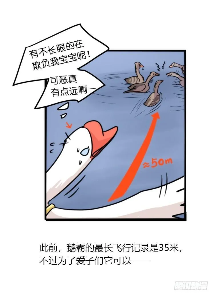 金华至江西望仙谷旅游攻略漫画,动协在行动25：向卡尔导师致敬！3图