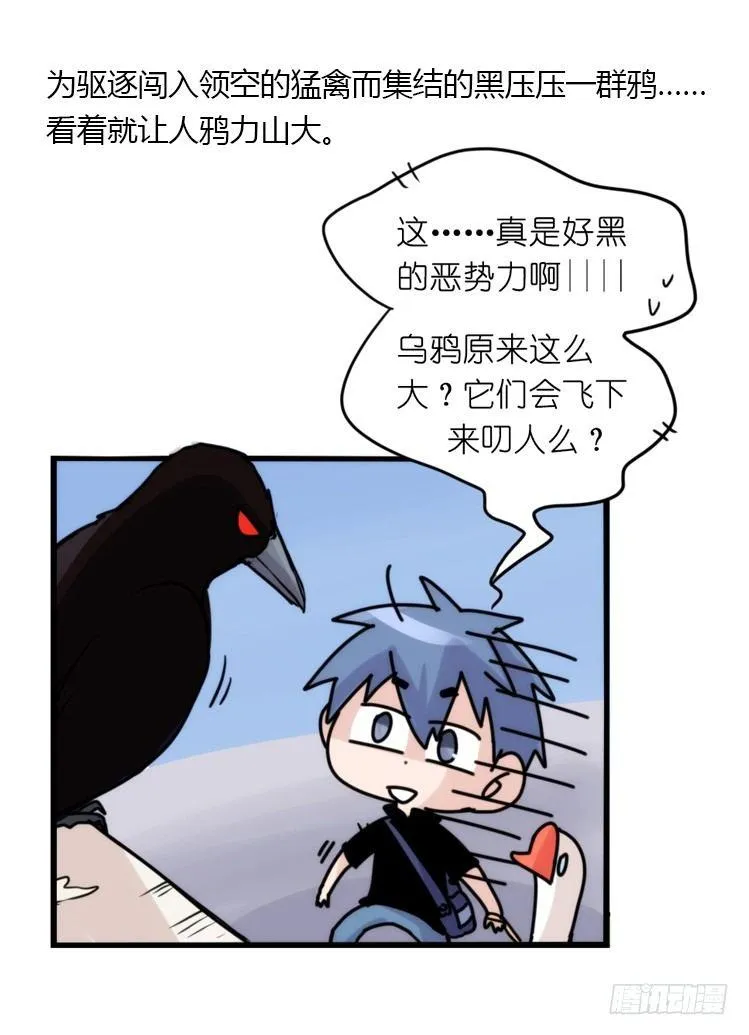 金华至江西望仙谷旅游攻略漫画,家有鹅霸：霸系鸟类巅峰对决2图