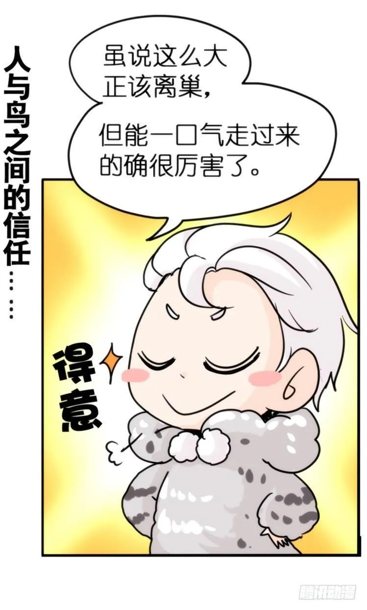 金华至江西望仙谷旅游攻略漫画,飞吧小少爷：长大成鸟之后…1图