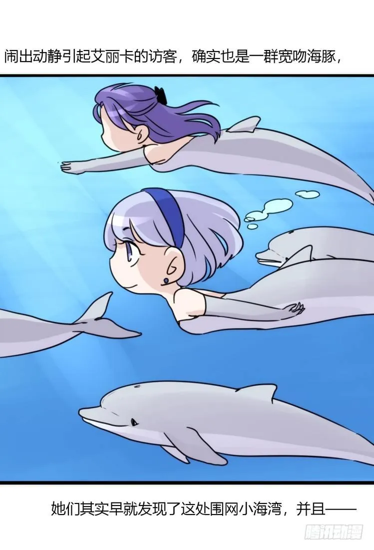 金华至江西望仙谷旅游攻略漫画,海中精灵：海豚直播间2图