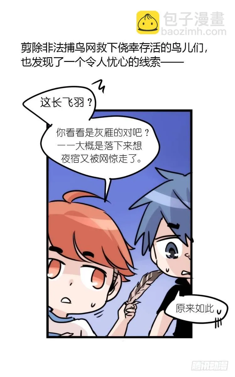 金华至江西望仙谷旅游攻略漫画,使命篇04：三鸟行必有我师焉3图