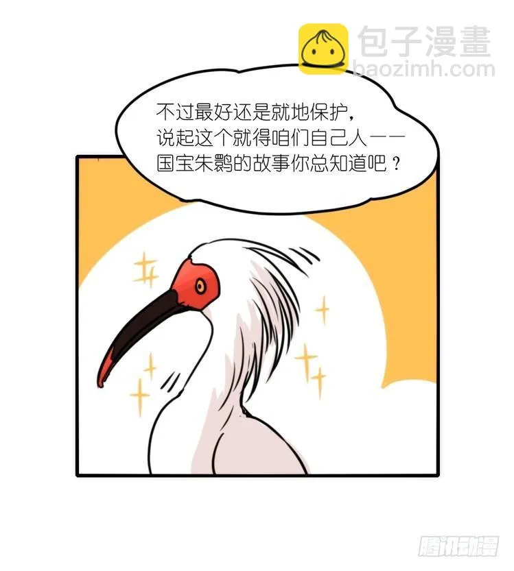金华至江西望仙谷旅游攻略漫画,使命篇12：现在进行时4图