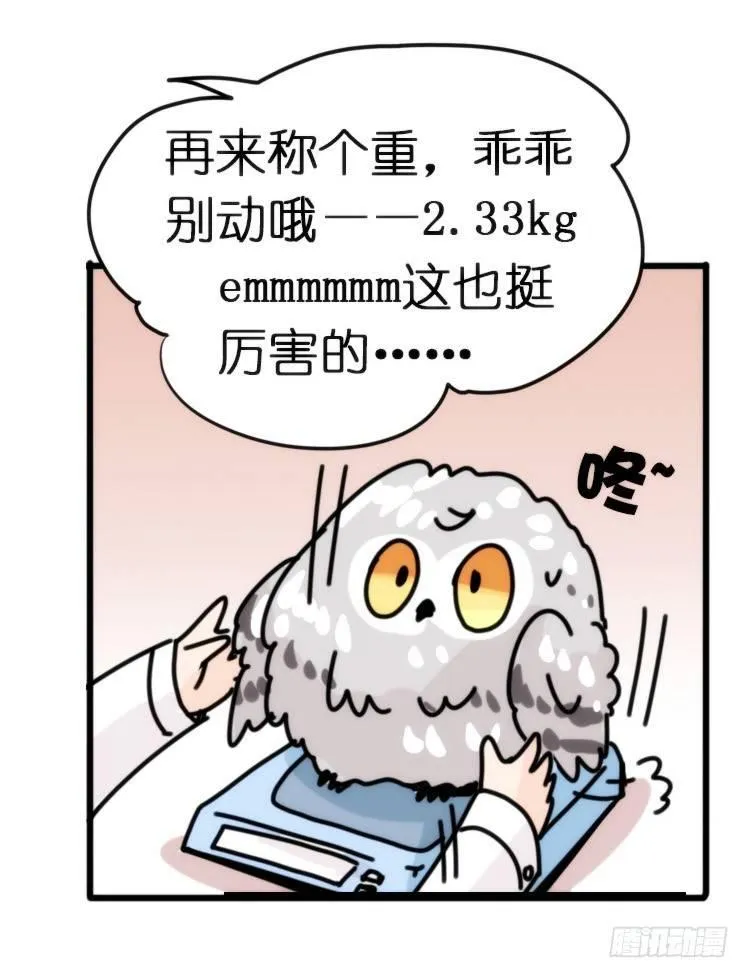 金华至江西望仙谷旅游攻略漫画,飞吧小少爷：长大成鸟之后…4图