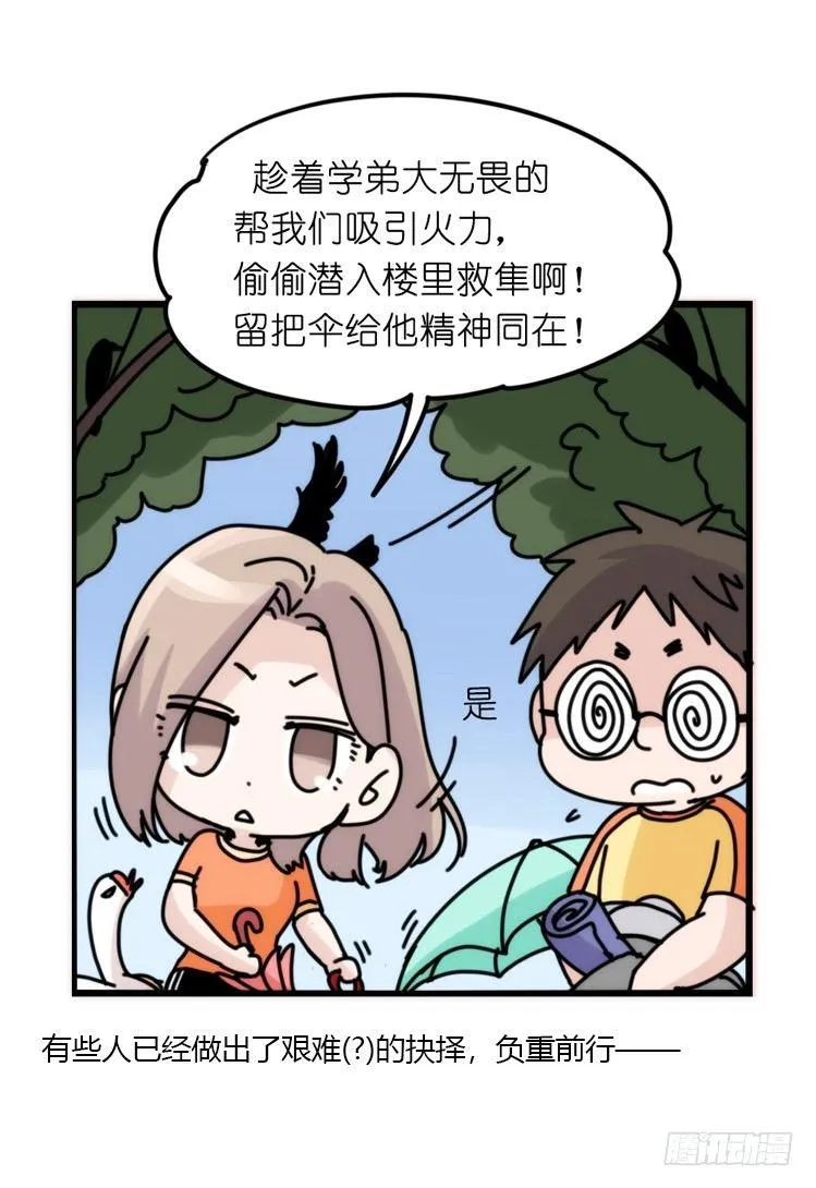 金华至江西望仙谷旅游攻略漫画,家有鹅霸：拯救大兵红隼2图