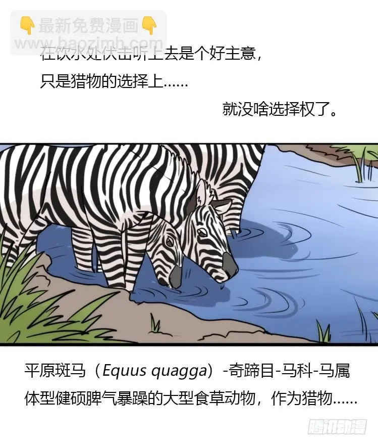 金华至江西望仙谷旅游攻略漫画,是这样的狮JI王？！-064图