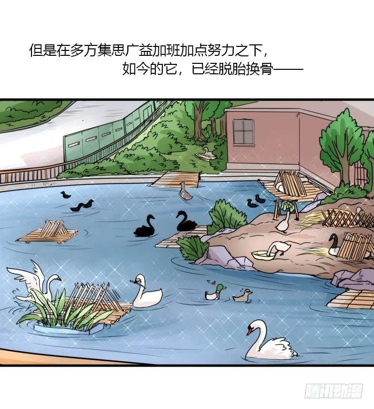 金华至江西望仙谷旅游攻略漫画,动协在行动20：最好的礼物5图