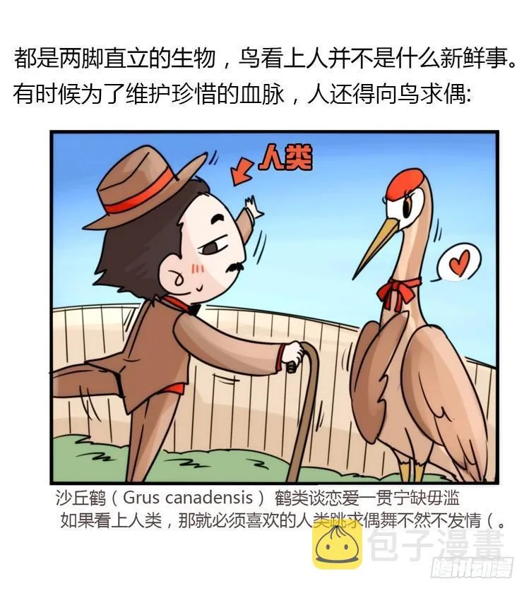 金华至江西望仙谷旅游攻略漫画,飞吧小少爷：好消息，坏消息。2图