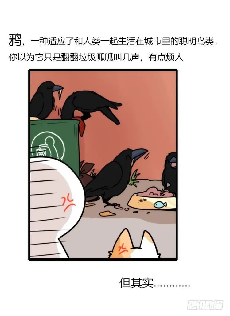 金华至江西望仙谷旅游攻略漫画,动协在行动05：大新闻2图