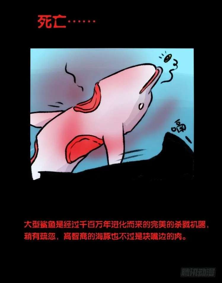 金华至江西望仙谷旅游攻略漫画,海洋精灵：大白鲨-反击战-上4图