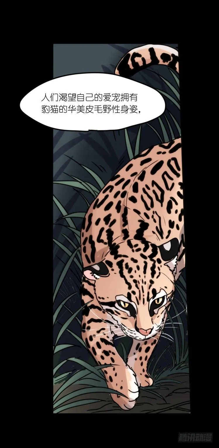 金华至江西望仙谷旅游攻略漫画,使命篇33：屋漏偏逢连夜雨4图