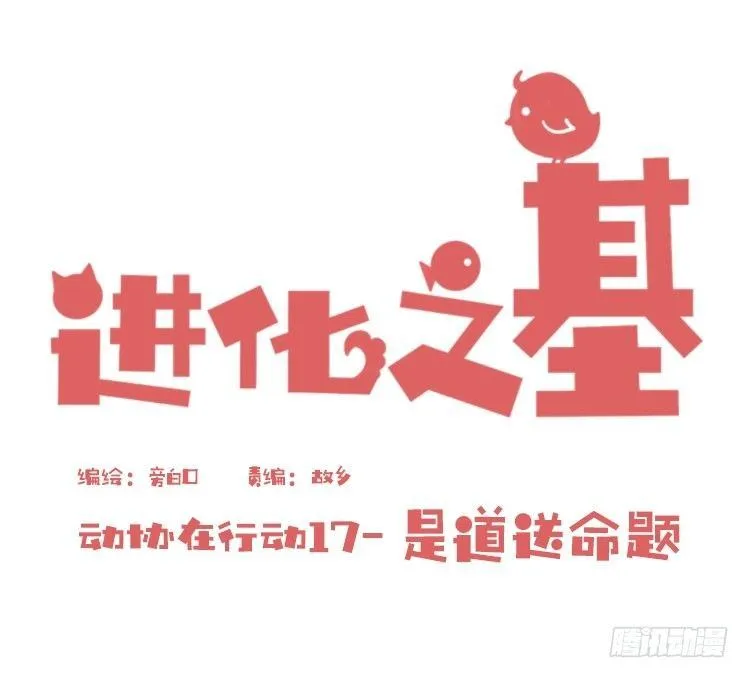 金华至江西望仙谷旅游攻略漫画,动协在行动17：是送命题！1图
