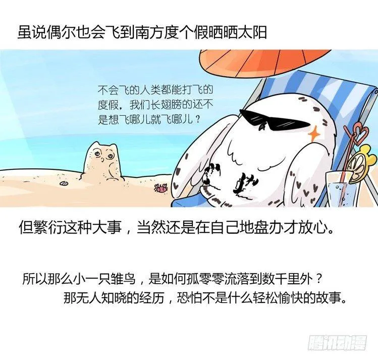 金华至江西望仙谷旅游攻略漫画,飞吧小少爷：现实问题5图