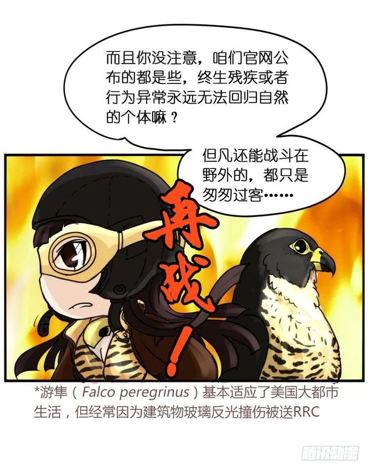 金华至江西望仙谷旅游攻略漫画,飞吧小少爷：网红风波·下5图