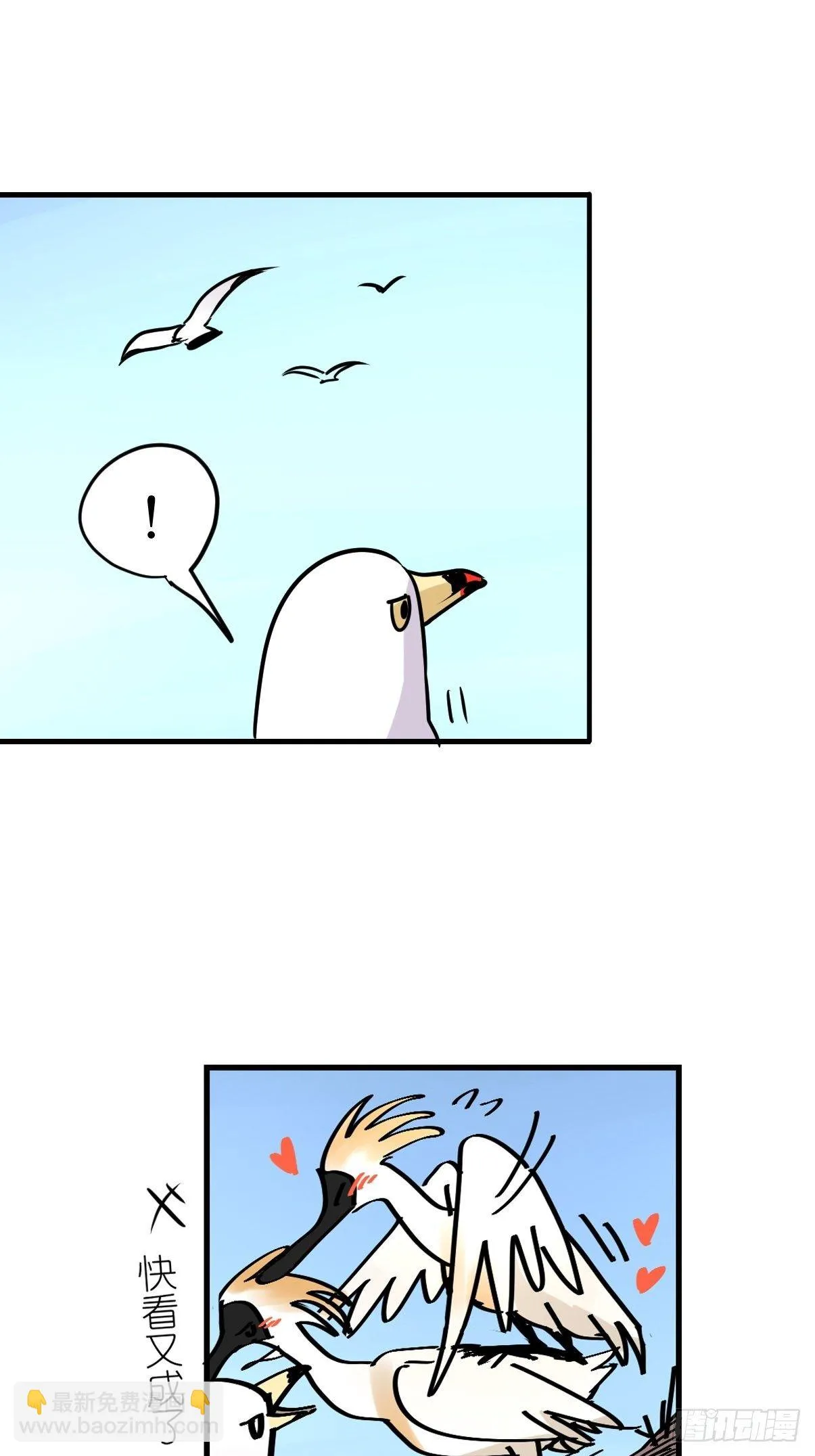 金华至江西望仙谷旅游攻略漫画,四海篇05：不要给陌生鸟开门2图