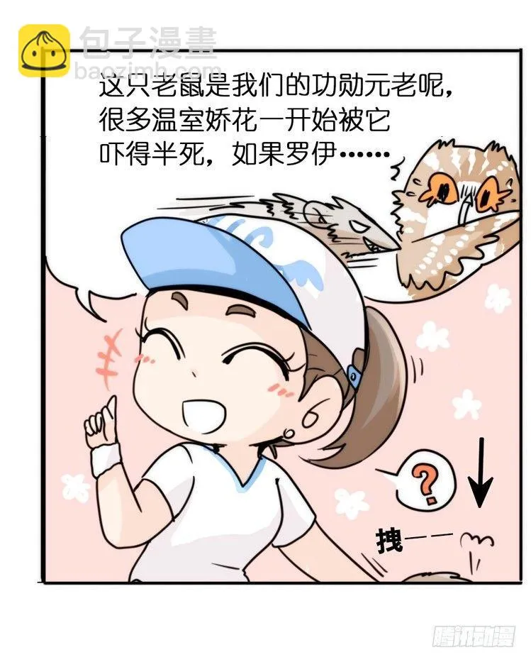 金华至江西望仙谷旅游攻略漫画,飞吧小少爷：上学去（下）5图