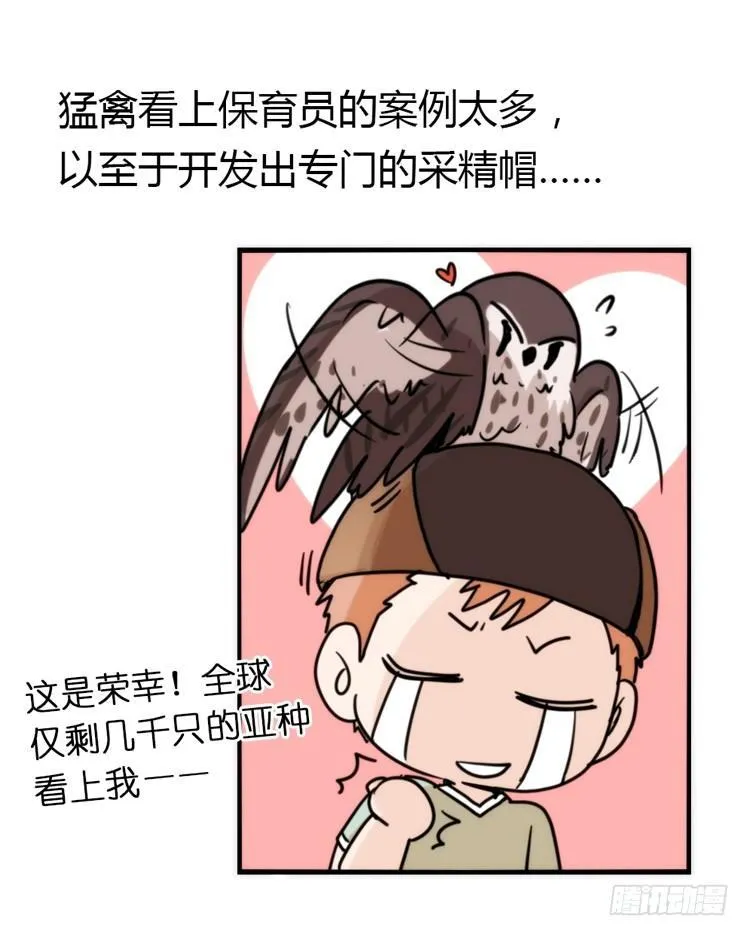 金华至江西望仙谷旅游攻略漫画,飞吧小少爷：好消息，坏消息。3图