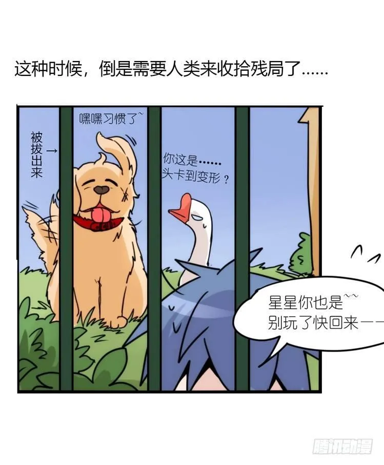 金华至江西望仙谷旅游攻略漫画,动协在行动04：破案了2图