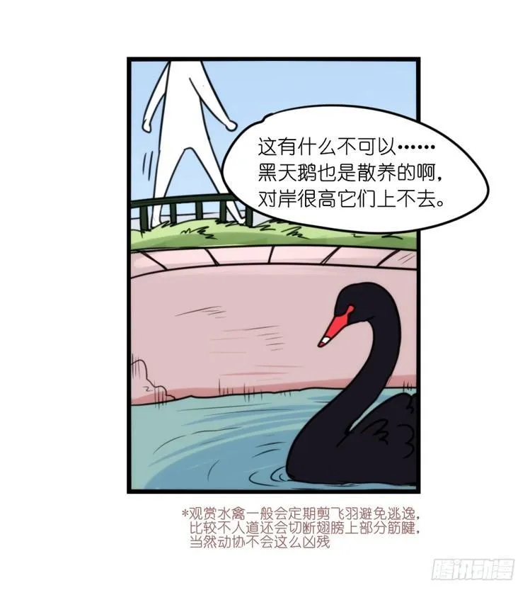 金华至江西望仙谷旅游攻略漫画,家有鹅霸：人类离开之后……3图