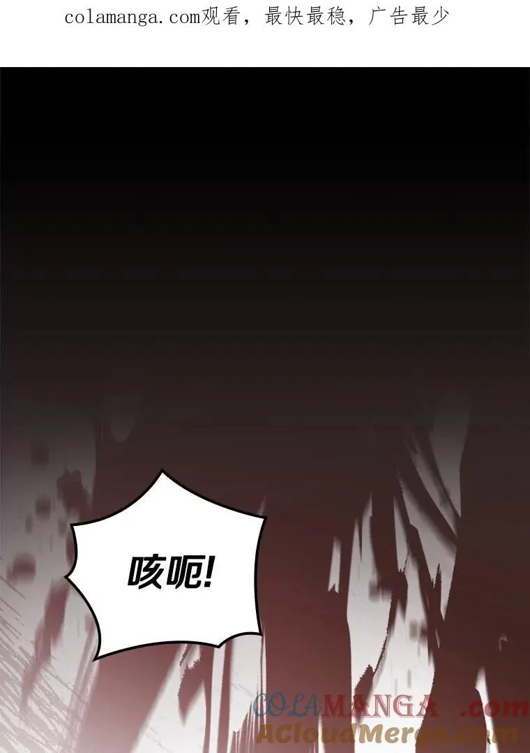 枯枝咏叹调漫画,95.不曾离去（本季完）1图