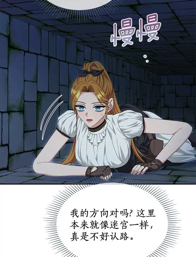 珍妮丝：贵族小姐的法则漫画,74.本就不是你的3图