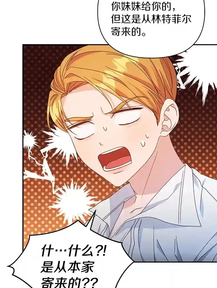 珍妮丝：贵族小姐的法则漫画,23.本家来信3图