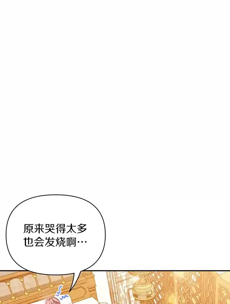 珍妮丝：贵族小姐的法则漫画,17.情报汇总3图