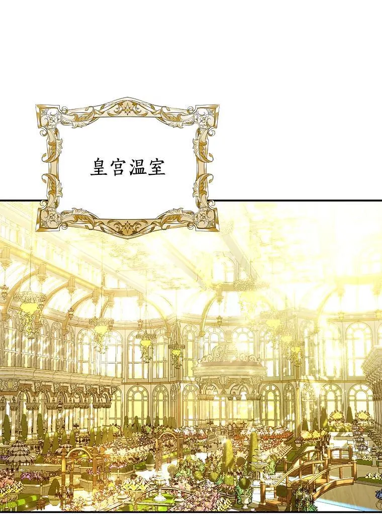 珍妮丝：贵族小姐的法则漫画,84.我也喜欢你1图