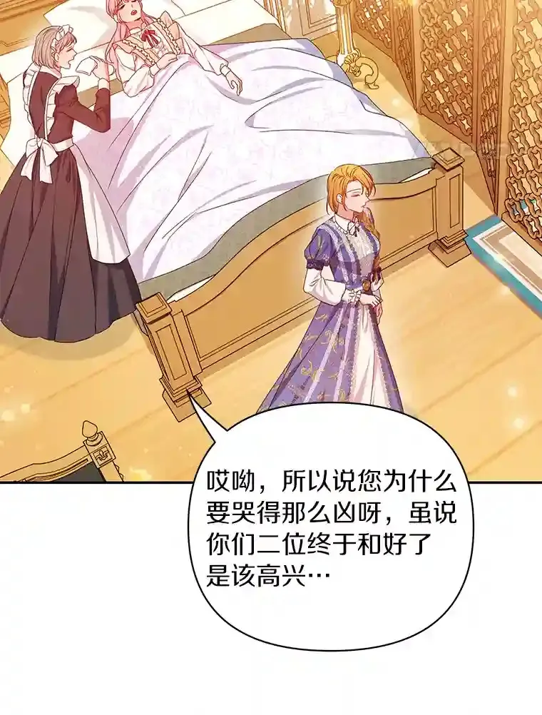 珍妮丝：贵族小姐的法则漫画,17.情报汇总4图